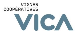 VICA